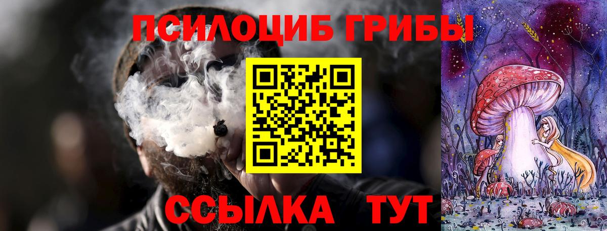 Псилоцибиновые грибы MAGIC MUSHROOMS Свободный